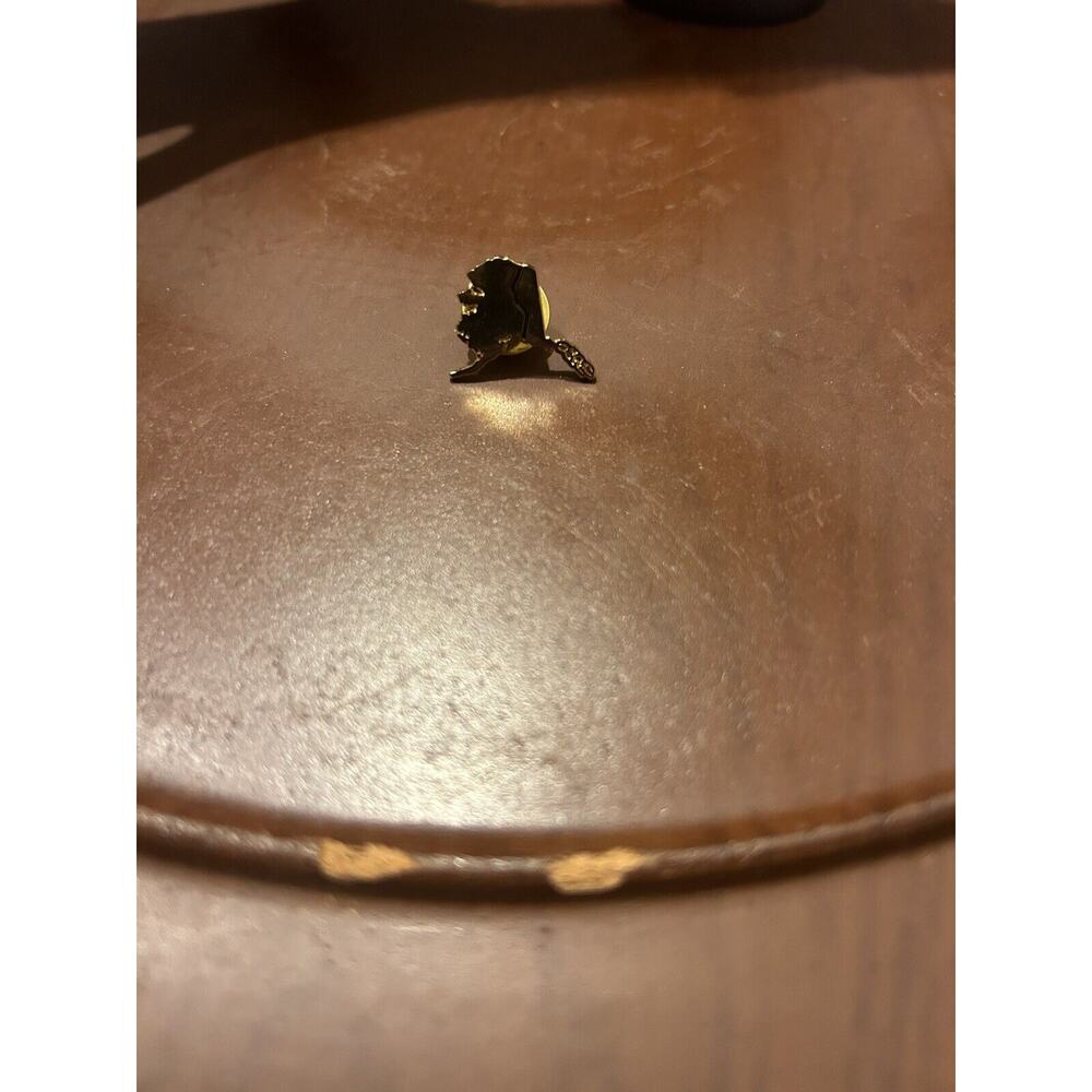 Alaska‎ State Gold Tone Lapel Pin Hat